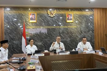 Pemerintah bentuk Satgas Koperasi Desa Merah Putih