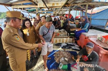 Pemprov Papua pastikan ketersediaan pangan dukung Program MBG