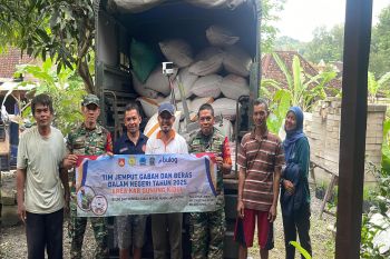 Pemkab Gunungkidul mengawal serapan gabah hasil panen oleh Bulog