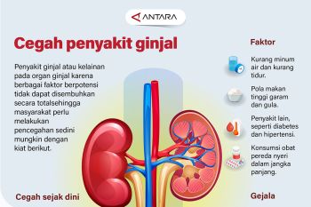Cegah penyakit ginjal