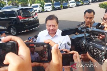 Airlangga ungkap pengaruh global dan domestik pada pelemahan IHSG