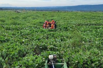 TIm SAR evakuasi pencari enceng gondok terjebak di Danau Rawapening