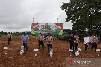 Kolaborasi dengan Polri, PalmCo optimalkan lahan replanting sawit untuk tanam jagung