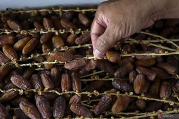 Alasan Rasulullah SAW mengonsumsi kurma dalam jumlah ganjil