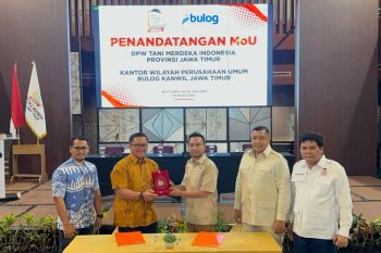 Pastikan hasil panen terserap maksimal, Tani Merdeka gandeng Bulog Jatim wujudkan kesejahteraan petani