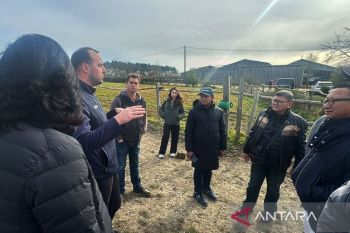 Pordasi bakal terapkan standar animal welfare seperti di Prancis