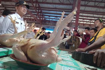 Bupati Solok Selatan pastikan harga kebutuhan pokok stabil