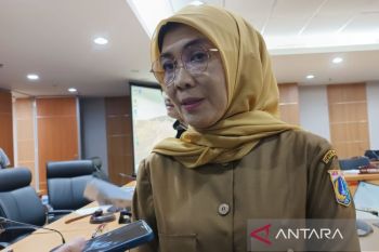 Dinkes DKI sediakan 12 posko kesehatan saat arus mudik Lebaran 2025
