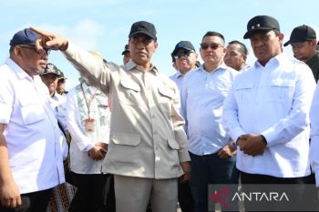 Mentan pastikan program cetak sawah di Kapuas berhasil untuk nasional