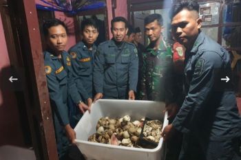 Ministry blocks illegal wildlife trade online; 2 held