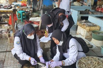 BPPMHKP Surabaya I pantau kualitas ikan jelang Lebaran