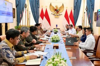 DEN chair seeks Apindo’s help with deregulation plan