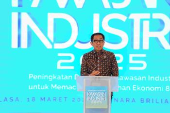 Competitive industrial zones can boost growth to 8%: deputy minister