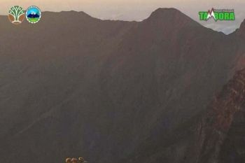 BTNT siapkan destinasi wisata khusus non pendakian di Gunung Tambora
