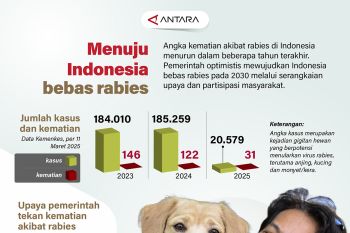 Menuju Indonesia bebas rabies