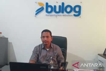 Persediaan beras Bulog Baubau 2.800 ton aman hingga setelah Idul Fitri