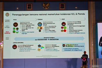 Pratikno: Pendekatan ekologis harus jadi landasan pembangunan daerah