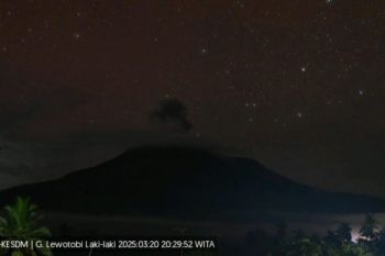 Gunung Lewotobi Laki-laki kembali erupsi Kamis malam