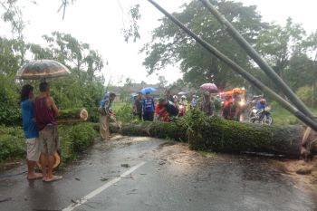 BPBD Jember imbau warga waspadai cuaca ekstrem selama sepekan