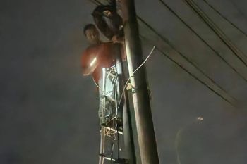 Telkom keluhkan kabel optiknya kerap dirusak OTK di Lampung
