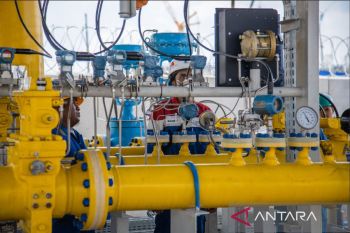 Peneliti INDEF: Hilirisasi tembaga dukung ketahanan energi nasional