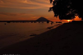 Desa Arakan merawat dugong dengan kearifan lokal