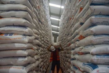 Di Ponorogo, Bulog mulai serap 8.700 ton gabah dan beras