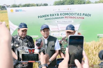 Pupuk Indonesia: Petroganik tingkatkan produktivitas padi di Blora