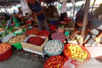 Babel tambah pasokan 41 ton bawang guna tekan harga