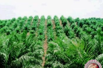 Pemprov Sulteng urai benang kusut klaim lahan dan dorong proses HGU perusahaan sawit PT ANA