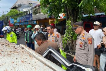 BPBD Bali siagakan personel di pos mudik buntut 18 pohon tumbang