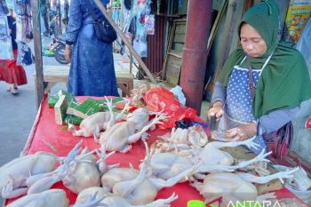 Harga komoditi strategis mulai bergerak naik jelang lebaran