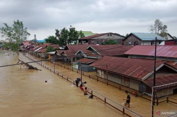 Banjir kembali merendam beberapa titik di wilayah Sangatta