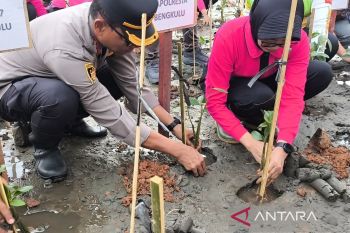 Polresta Bengkulu tanam 6.000 batang pohon mangrove
