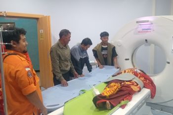 Akibat tertimpa pohon, satu korban di Jember terluka