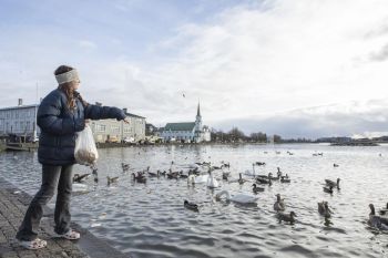 Pemanasan iklim turunan kadar oksigen di danau-danau seluruh dunia
