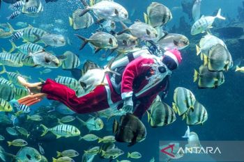 Indonesia targetkan 2 juta wisatawan China pada 2025