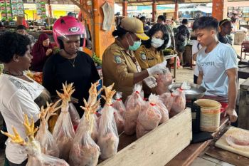 Pemkab Mimika melakukan sidak tempat penjualan daging
