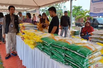 Bulog Tanjungpinang salurkan 300 ton beras SPHP selama Ramadhan