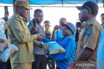 Kementan siapkan 4 ton benih untuk budi daya padi gogo di Manokwari 