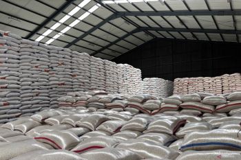 66.000 ton padi diserap Bulog Jabar hingga Maret 2025