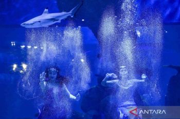 Foto Pilihan pekan ketiga Maret 2025