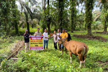 Berbagi di Bulan Ramadhan, PT SSL salurkan program pemberdayaan masyarakat