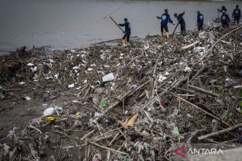 Waste management needs large budget: official