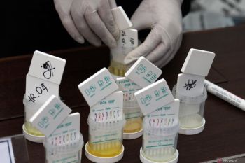 Drugs eradication: Shifting from incarceration to rehabilitation