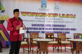 Wabup Sleman ajak UMKM terus berinovasi dan ciptakan produk kreatif