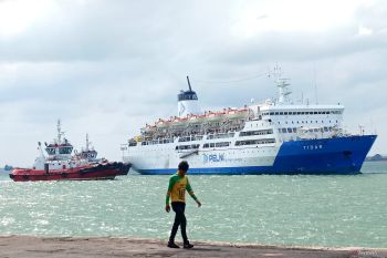 Periode 16-25 Maret 2025, Pelni angkut 23 ribu pemudik ke Surabaya
