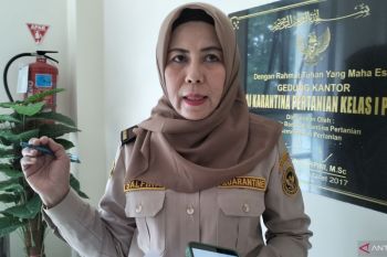 Sumbar ekspor 46 ton hasil laut ke sejumlah negara pada triwulan I