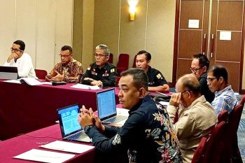 Pemkab Barut ikuti sidang pleno rekomendasi desain Jembatan Lemo