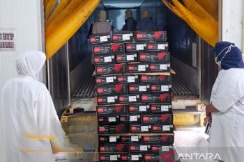 Sumbar ekspor perdana tuna beku ke AS melalui Pelabuhan Teluk Bayur